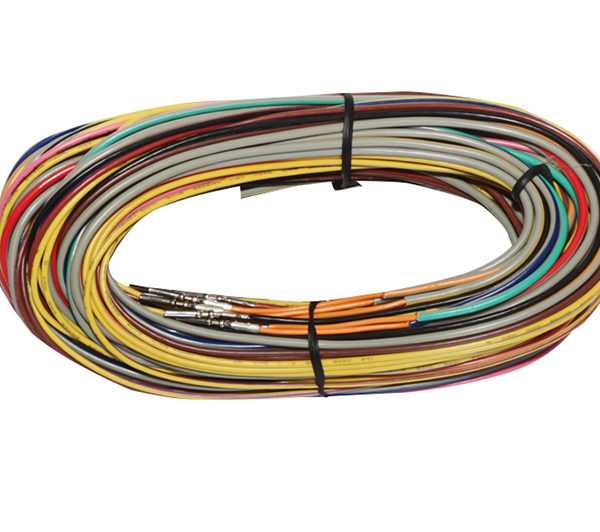 Haltech Sport to Elite Harness upgrade kit